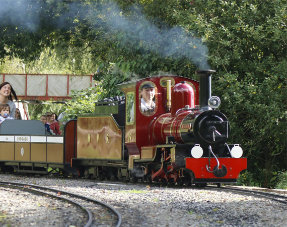 Moors Valley Railway - Family Day Out in Hampshire